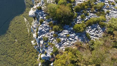 Close-flight-over-some-rocks-and-bushes-discovering-a-cliff-in-vercors-massif.